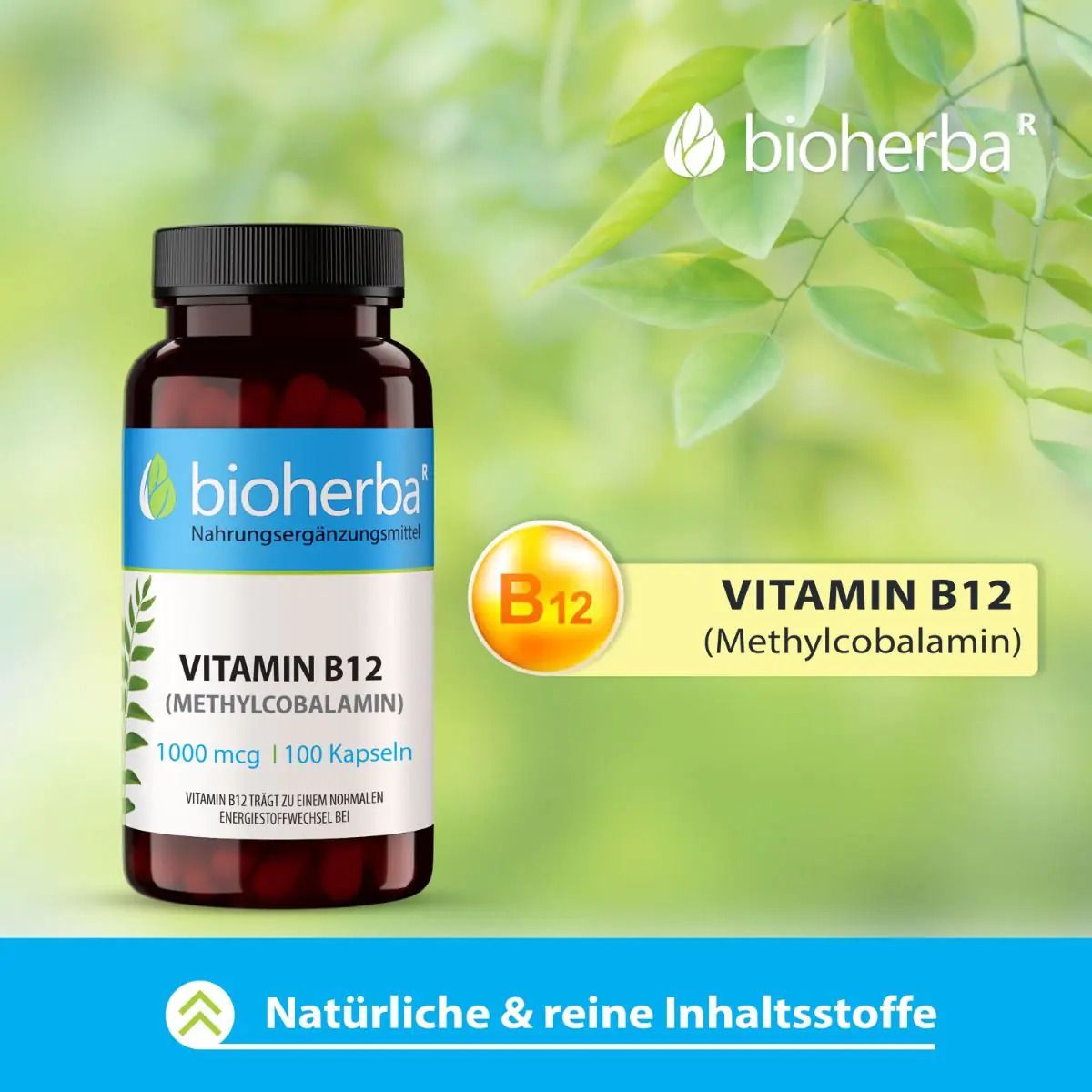 Bioherba Vitamin B12 Kapseln: Flasche neben einem gelben Kreis mit B12-Symbol und Produktname.