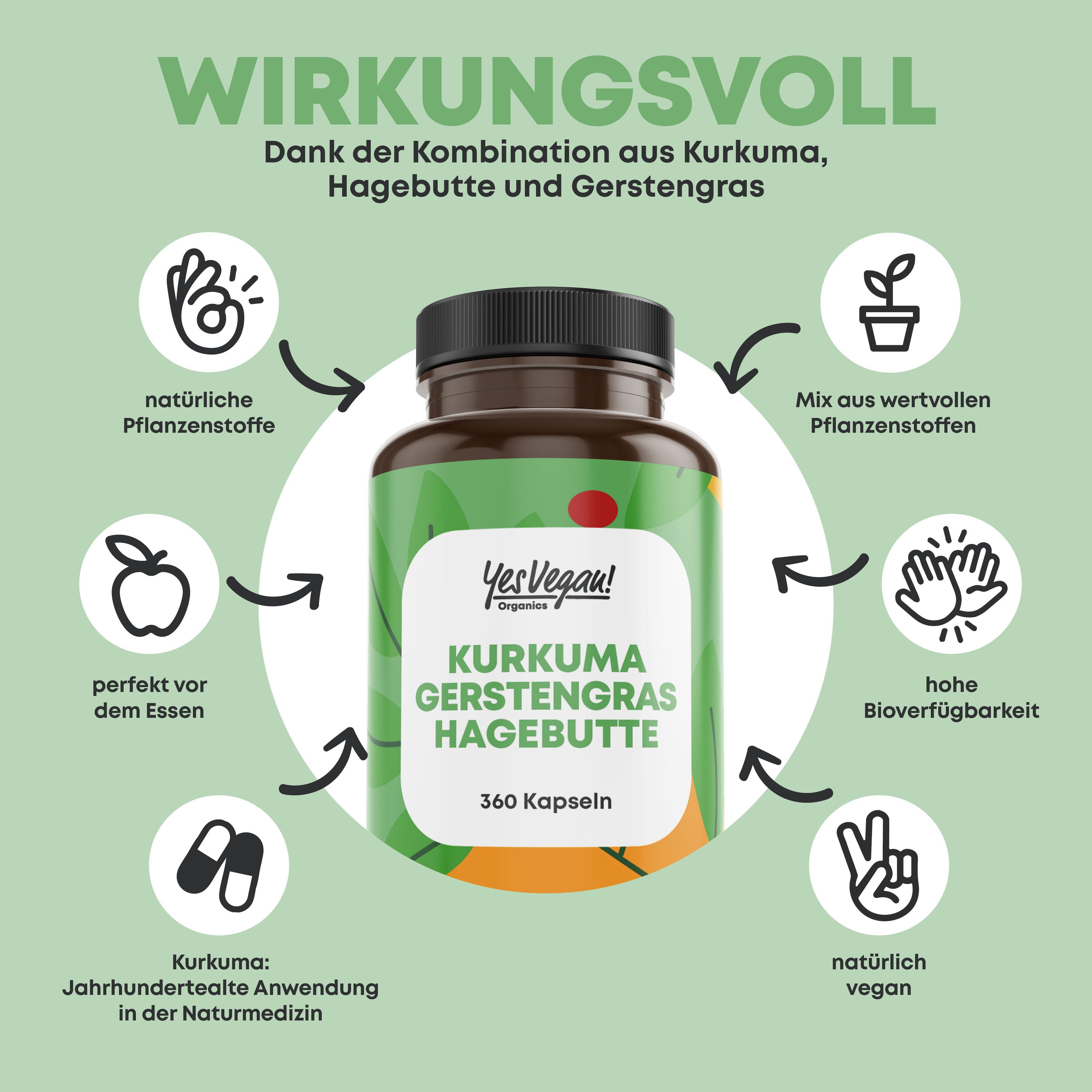 Bio Kurkuma Gerstengras Kapseln mit Hagebutte, extra hochdosiert 500mg, Gerstengras Kurkuma Kapseln