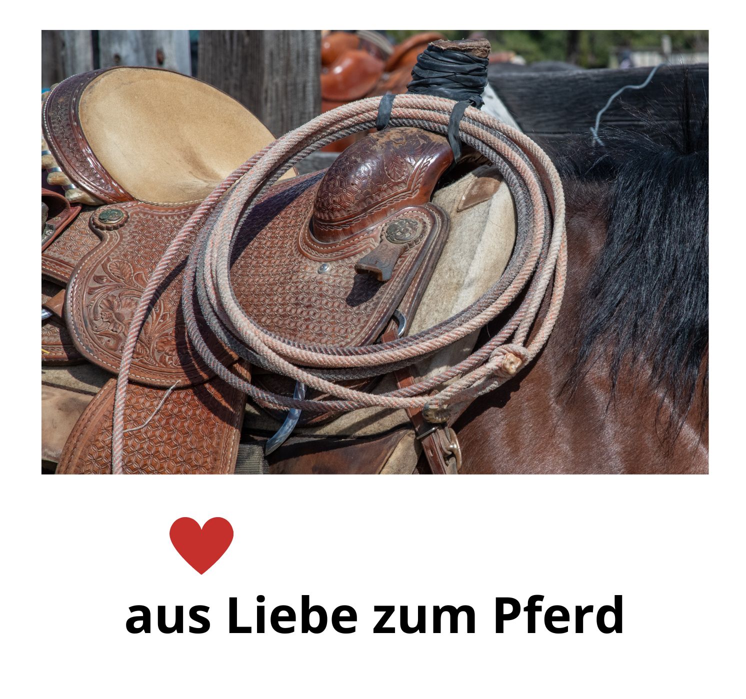 Westernsattel auf einem Pferd. Seil, Text: 'aus Liebe zum Pferd'.