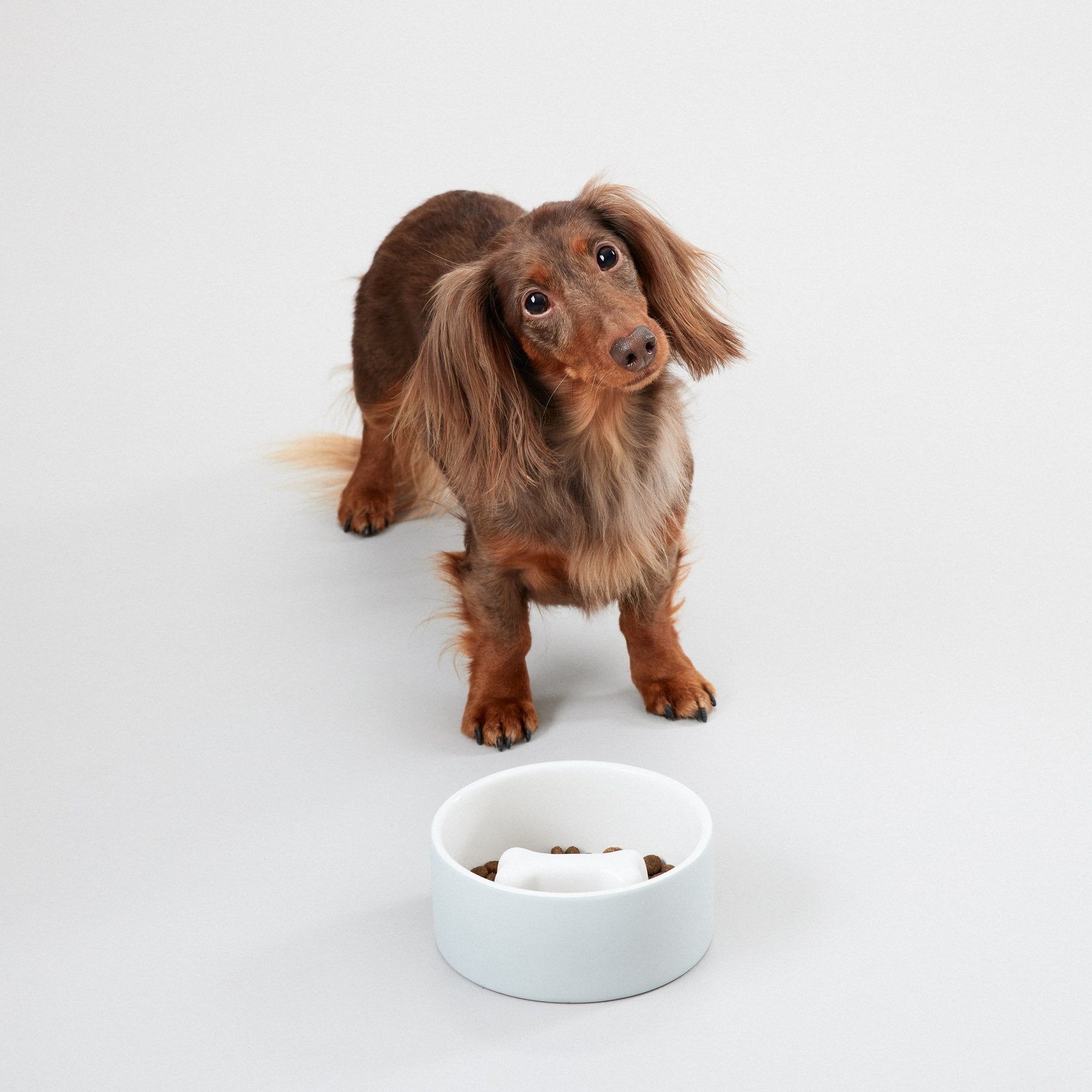 Cool Bowl Antischlingnapf Grey - PAIKKA