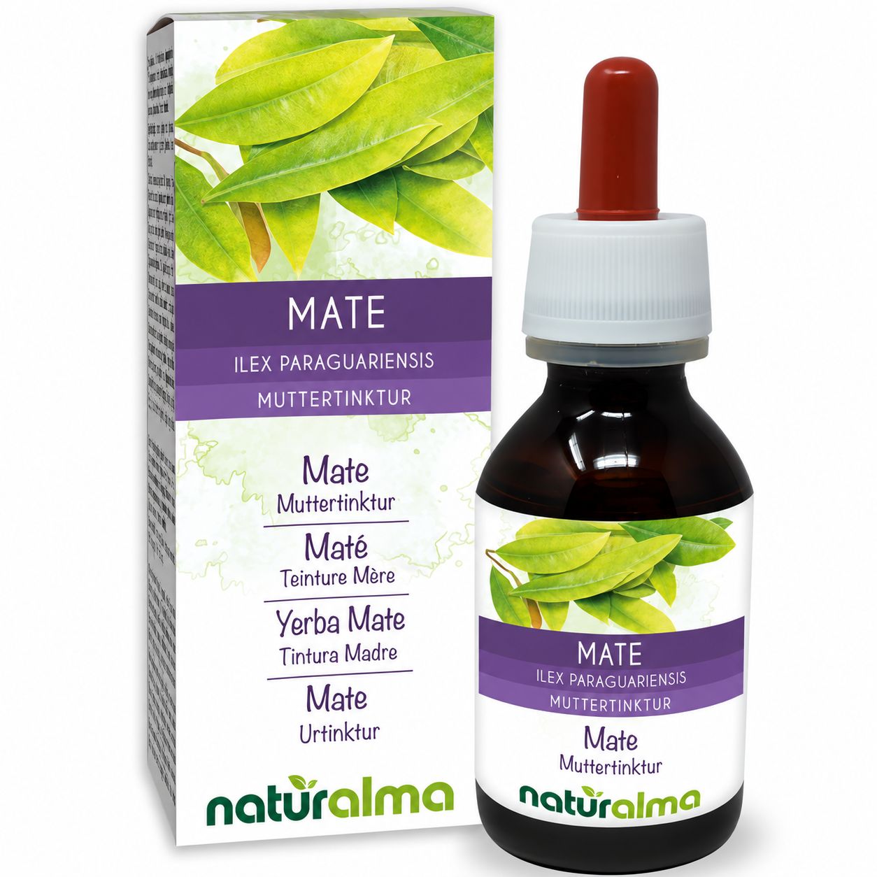 Mate Tinktur in Braunglasflasche mit Pipette und Kartonverpackung.