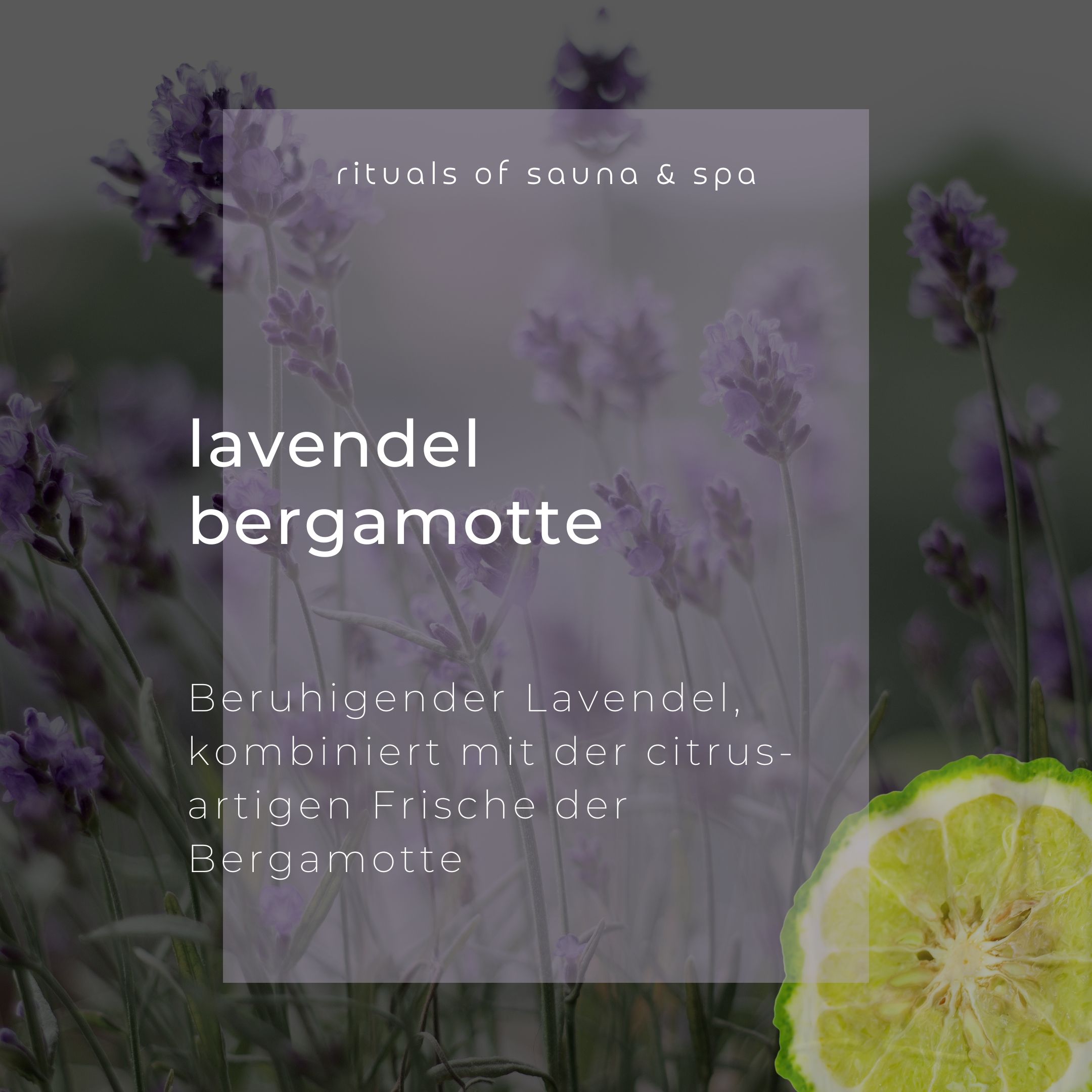 Wellow Sauna-Aufguss Lavendel-Bergamotte