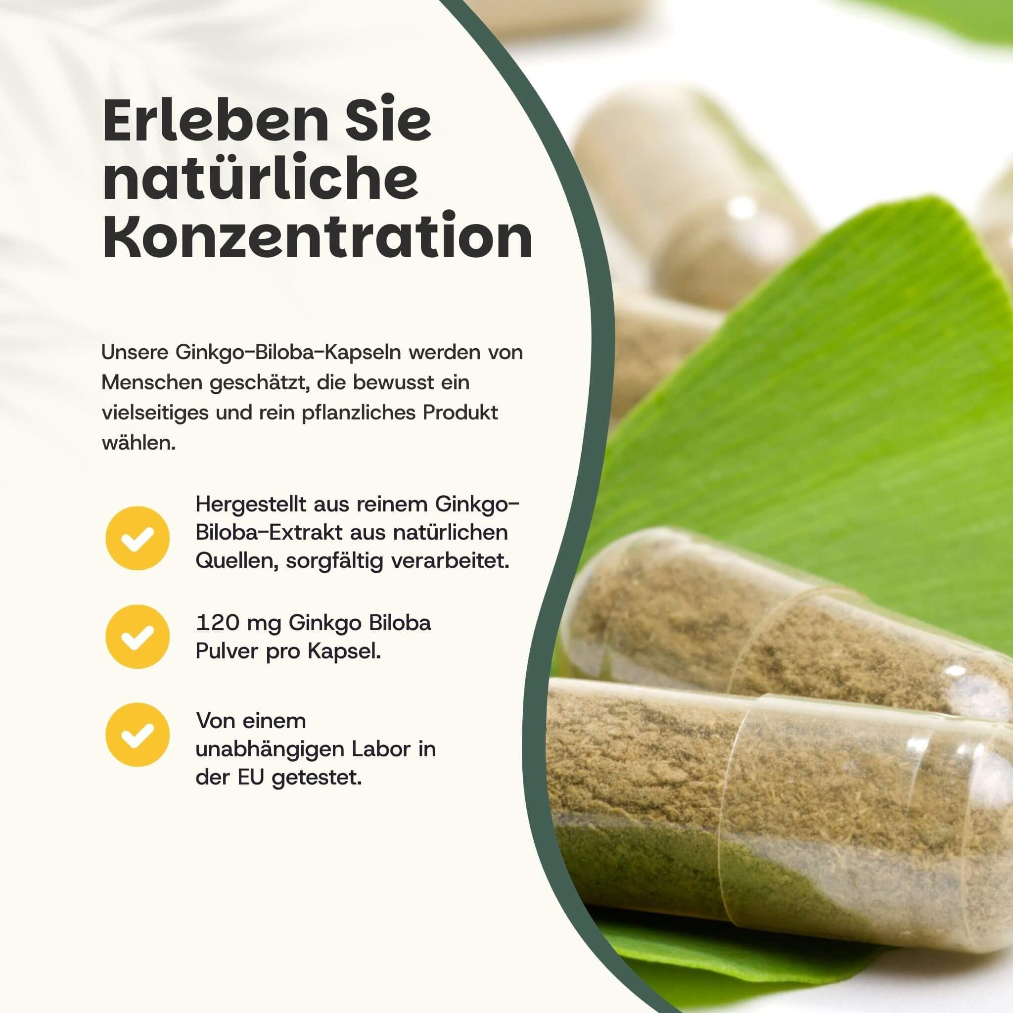 Ginkgo Biloba Kapseln und grüne Blätter. Text: 120 mg Ginkgo Biloba pro Kapsel. Labor in der EU getestet.