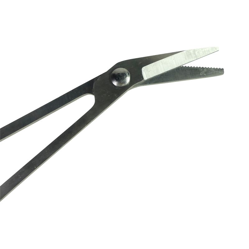 Nahaufnahme Nagelknipser-Klingen. Metall, gezahnte Klinge. Für Fußpflege.