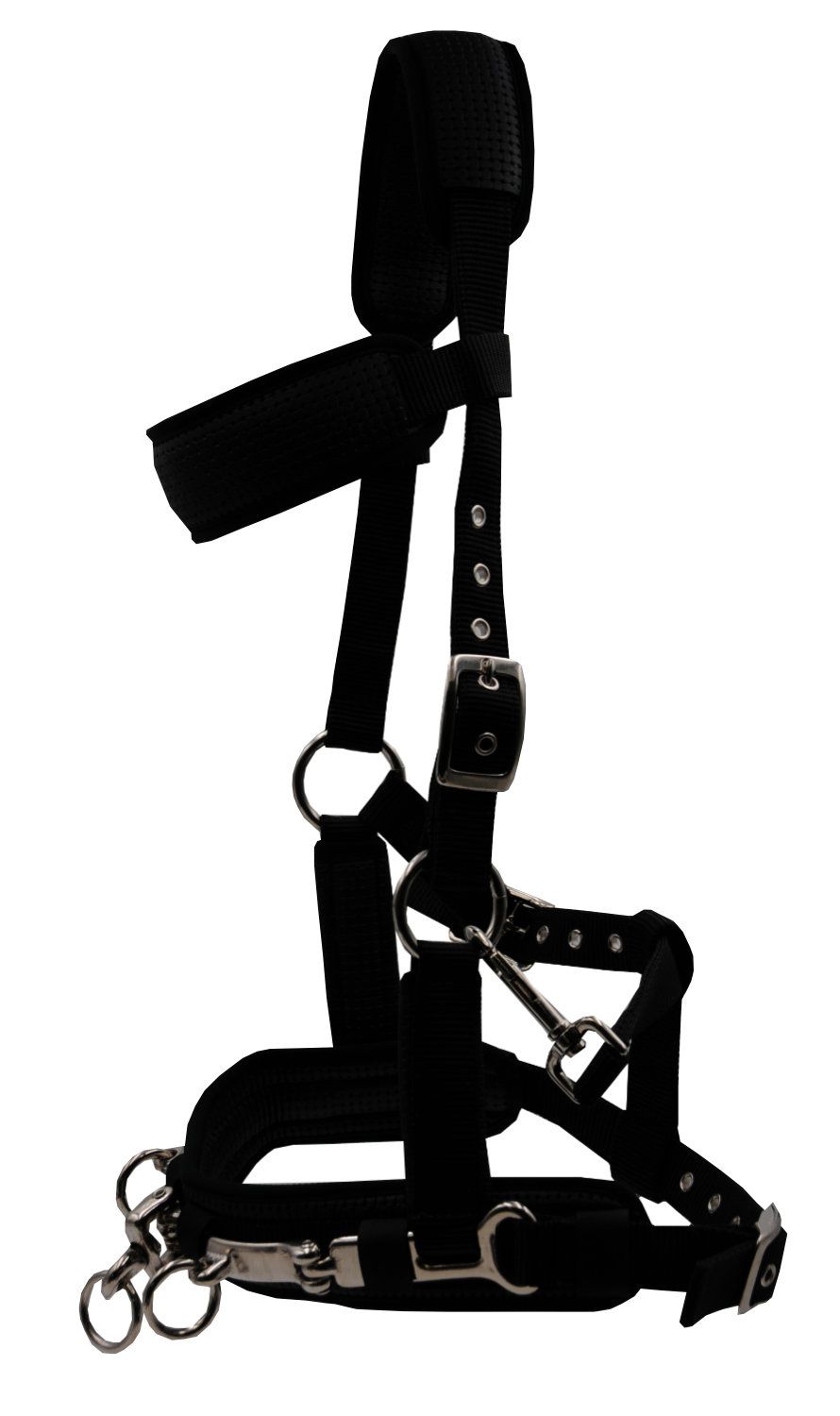 Schwarzer Kappzaum mit silberfarbenen Ringen und Schnallen. Gepolsterte Bereiche für Komfort.