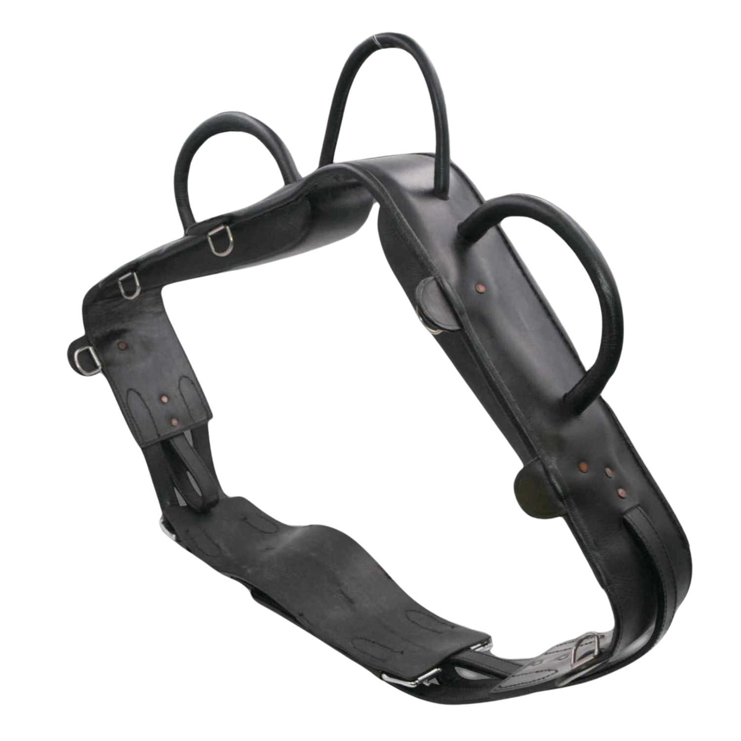 Schwarzer Voltigiergurt mit Griffen und Ringen.