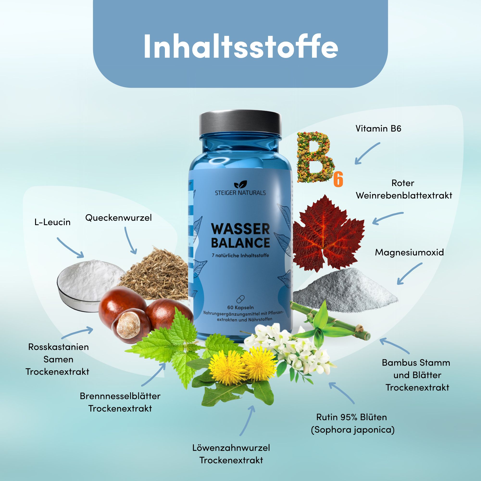 Blaue Flasche mit Kapseln, umgeben von Inhaltsstoffen. Aufschrift: Wasser Balance, 7 pflanzliche Extrakte. 60 Kapseln.