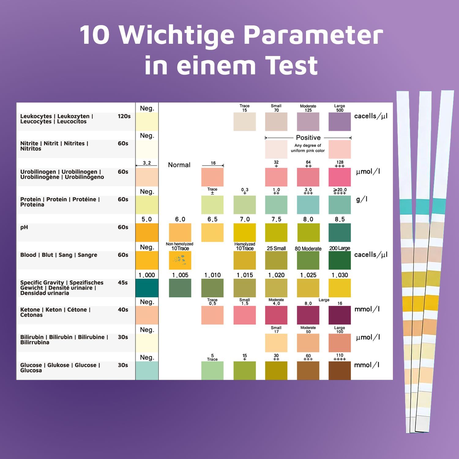 carnivoro® Gesundheitstest - Urin Teststreifen für 10 Parameter