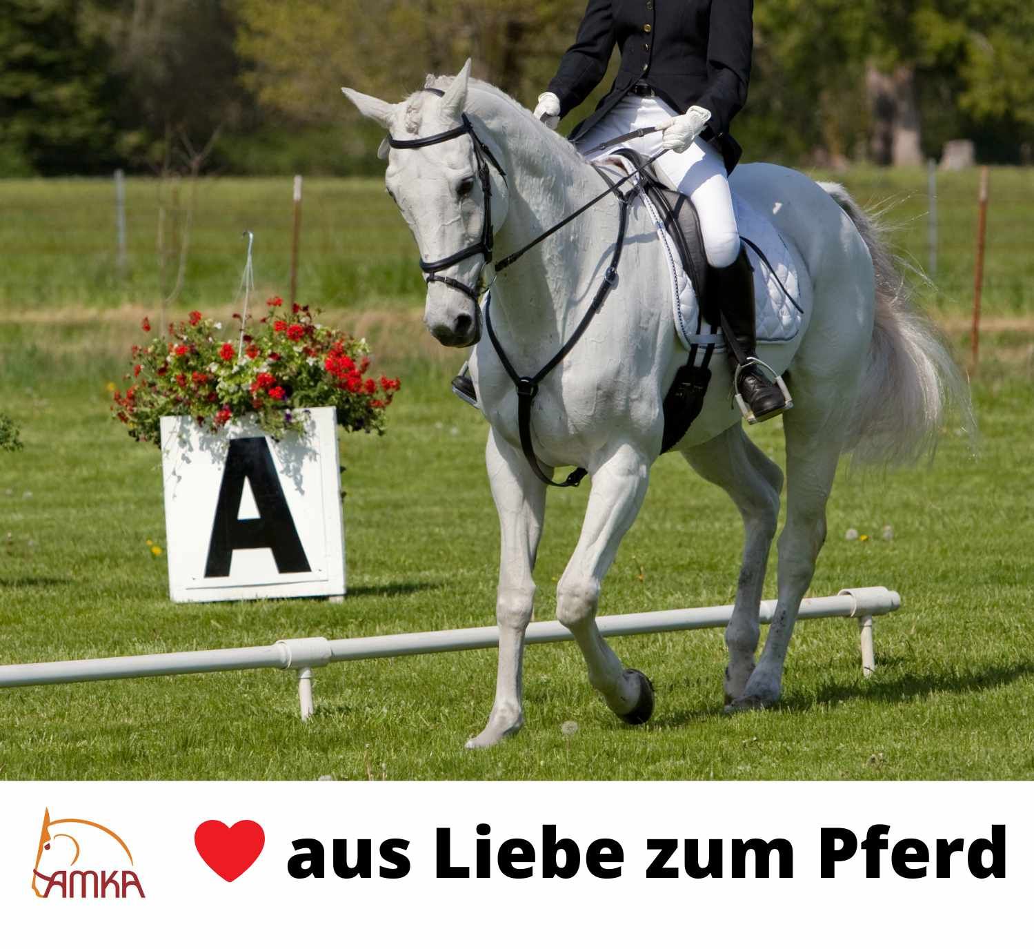 Weißes Schild mit schwarzem Buchstaben A, vor einem Pferd. Text: AMKA, aus Liebe zum Pferd.