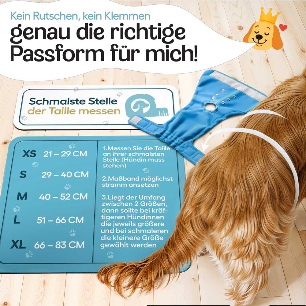 Größentabelle für Windeln. XS bis XL. Messanleitung: Taille messen. Hund mit Windel. Blaues Maßband.