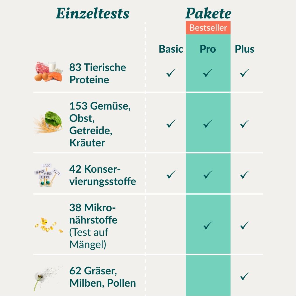 Übersicht der Testoptionen für Einzeltests und Pakete.