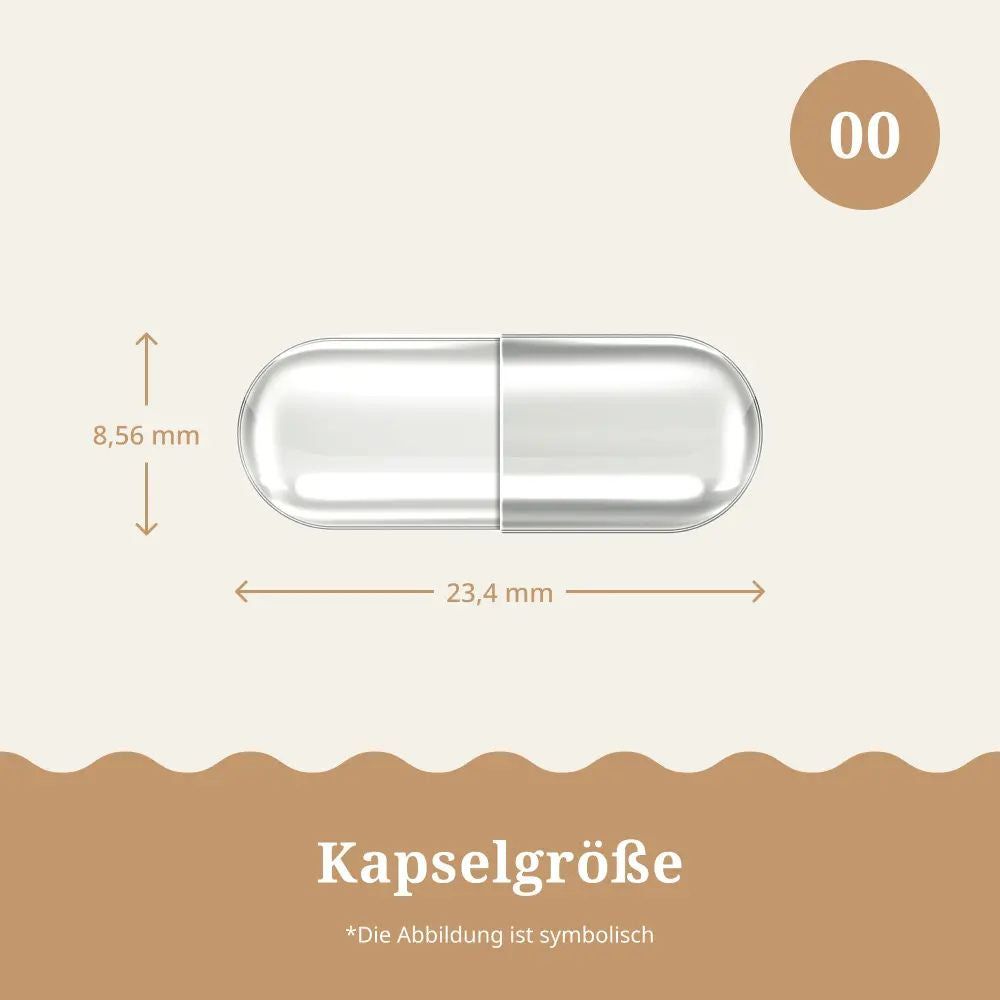 Kapsel mit Maßen. Text: Kapselgröße. Abbildung ist symbolisch.