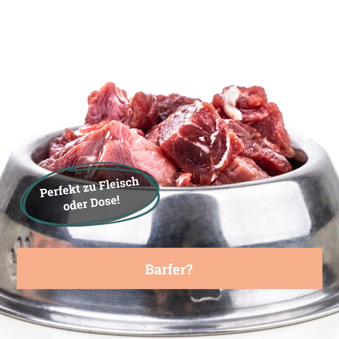 Metallschüssel gefüllt mit rohem Fleisch. Text: "Perfekt zu Fleisch oder Dose!" und "Barfer?"