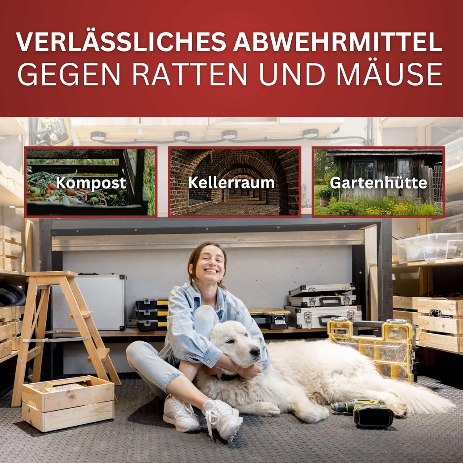 Frau sitzt mit Hund in einem Raum. Im Hintergrund: Holzregale mit Werkzeug und Kisten. Oben: drei Bilder von Kompost, Kellerraum und Gartenhütte.