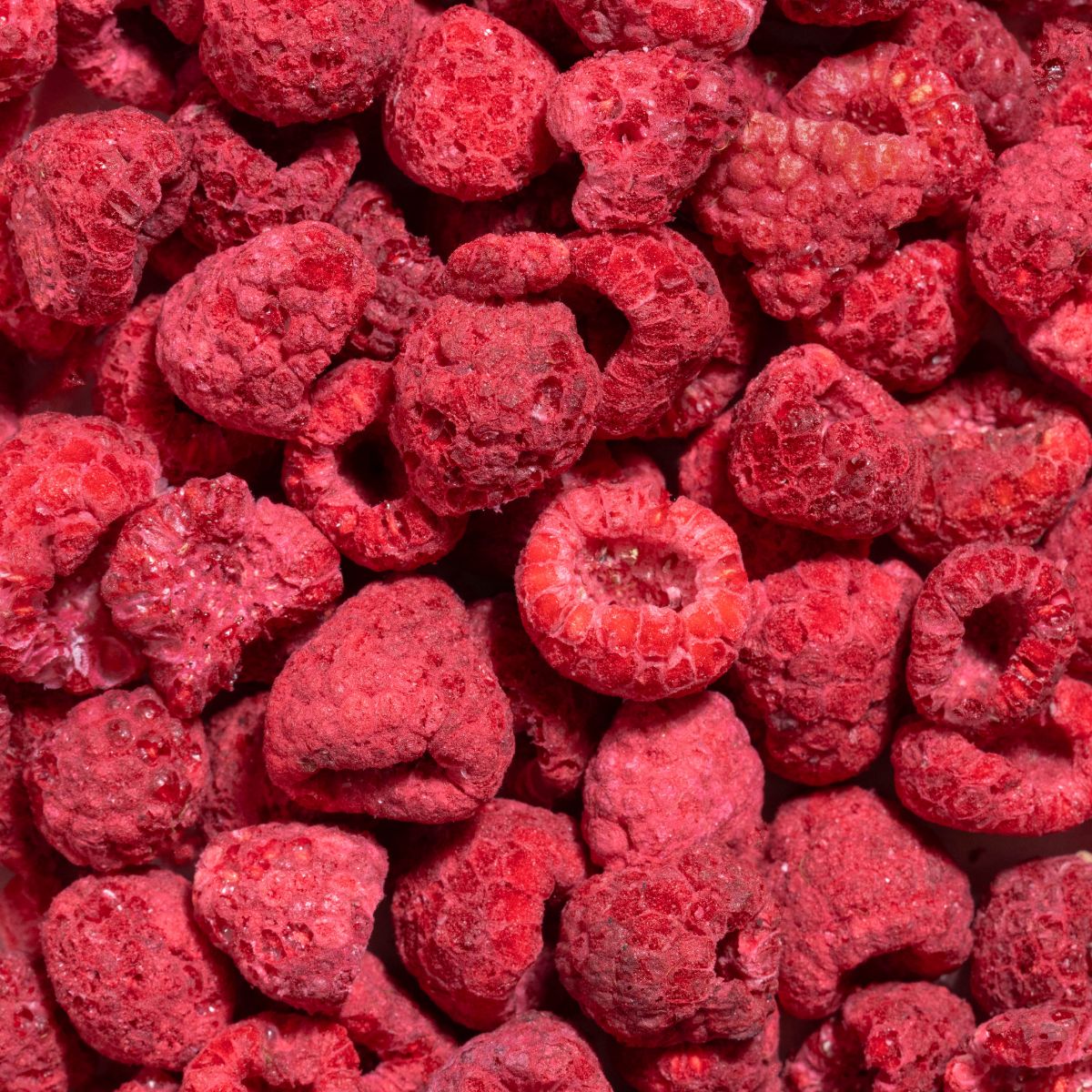 Nahaufnahme von gefriergetrockneten Himbeeren, rote Farbe, Textur sichtbar.