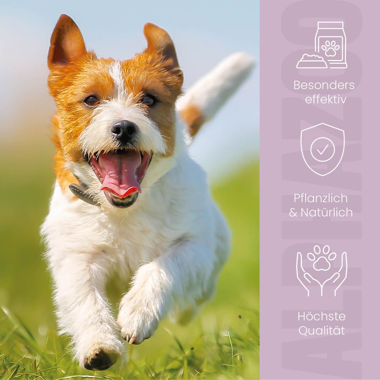 Jack Russell Terrier rennt auf einer Wiese. Text: Besonders effektiv, pflanzlich & natürlich, höchste Qualität.