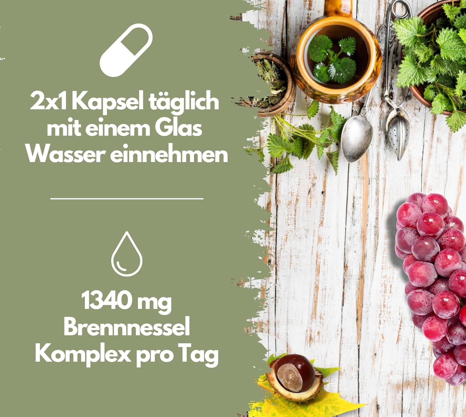 EXVital® Brennnessel Komplex mit Weinreben & Rosskastanien