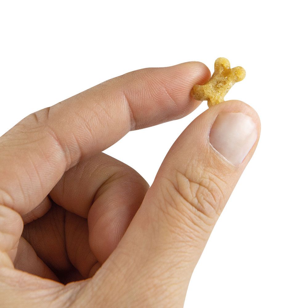 Hand hält einen einzelnen getreidefreien Hundesnack in Knochenform. Helle Farbe.
