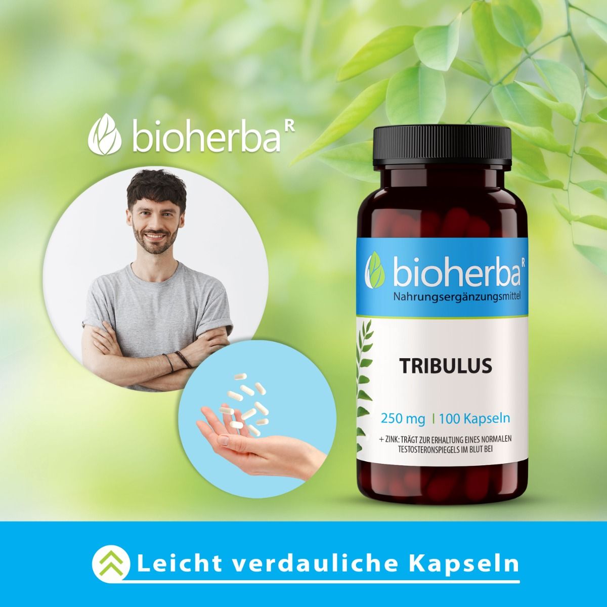 Braune Flasche mit schwarzen Deckel. Aufschrift: Bioherba, Tribulus, 250 mg | 100 Kapseln. Mann hält Kapseln in der Hand.