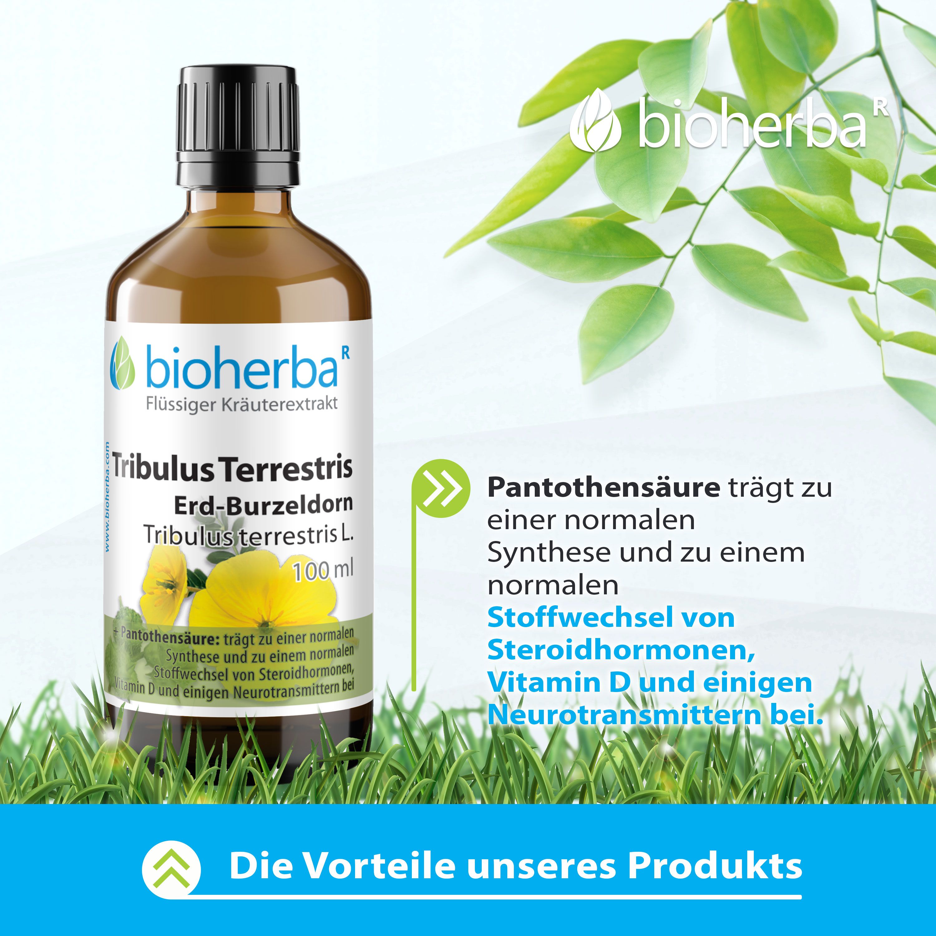 Braune Glasflasche mit schwarzem Deckel. Bioherba Tribulus Terrestris Erd-Burzeldorn Tropfen. Aufschrift und gelbe Blume.