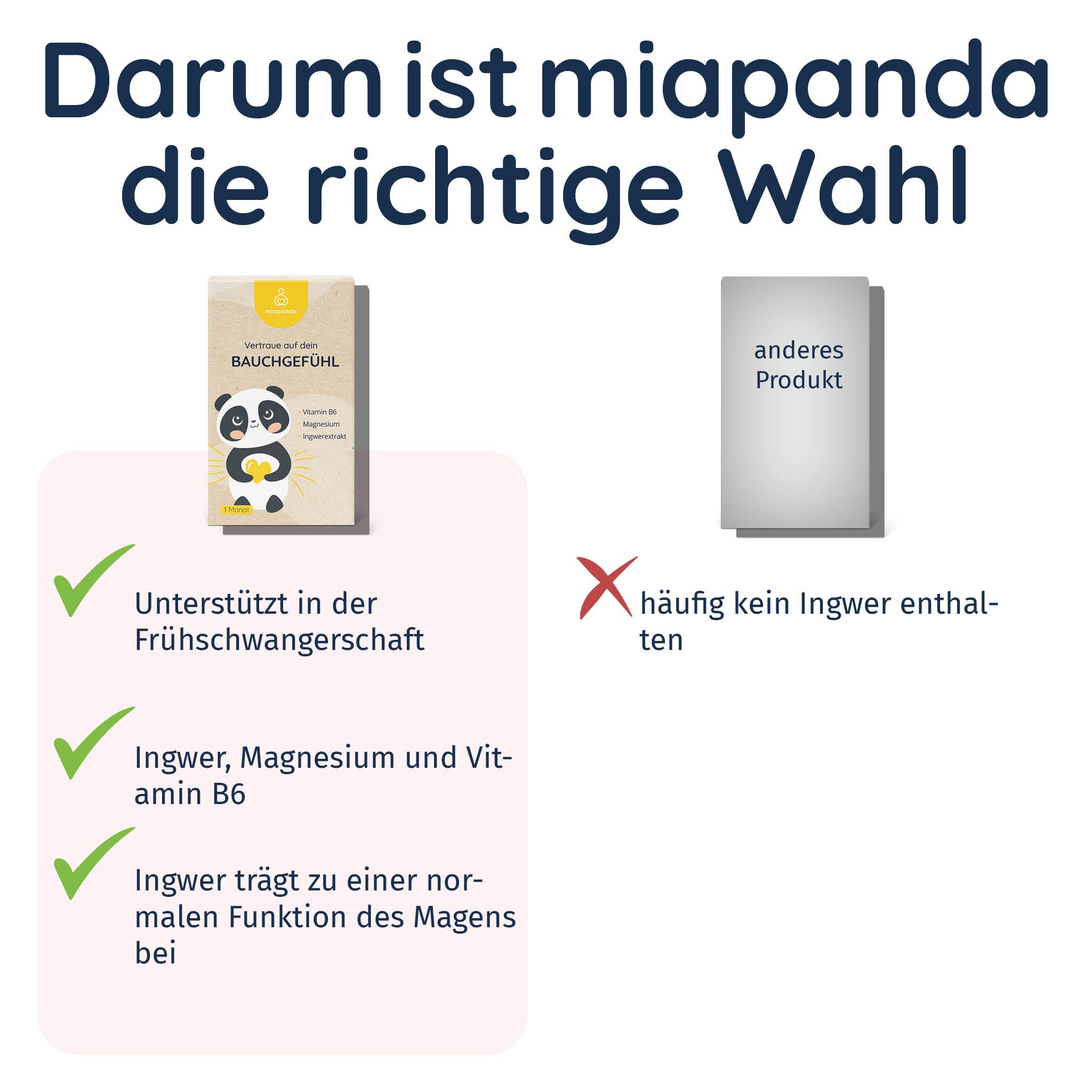 Infografik: miapanda Bauchgefühl unterstützt in der Frühschwangerschaft, enthält Ingwer, Magnesium und Vitamin B6. Produktabbildung.