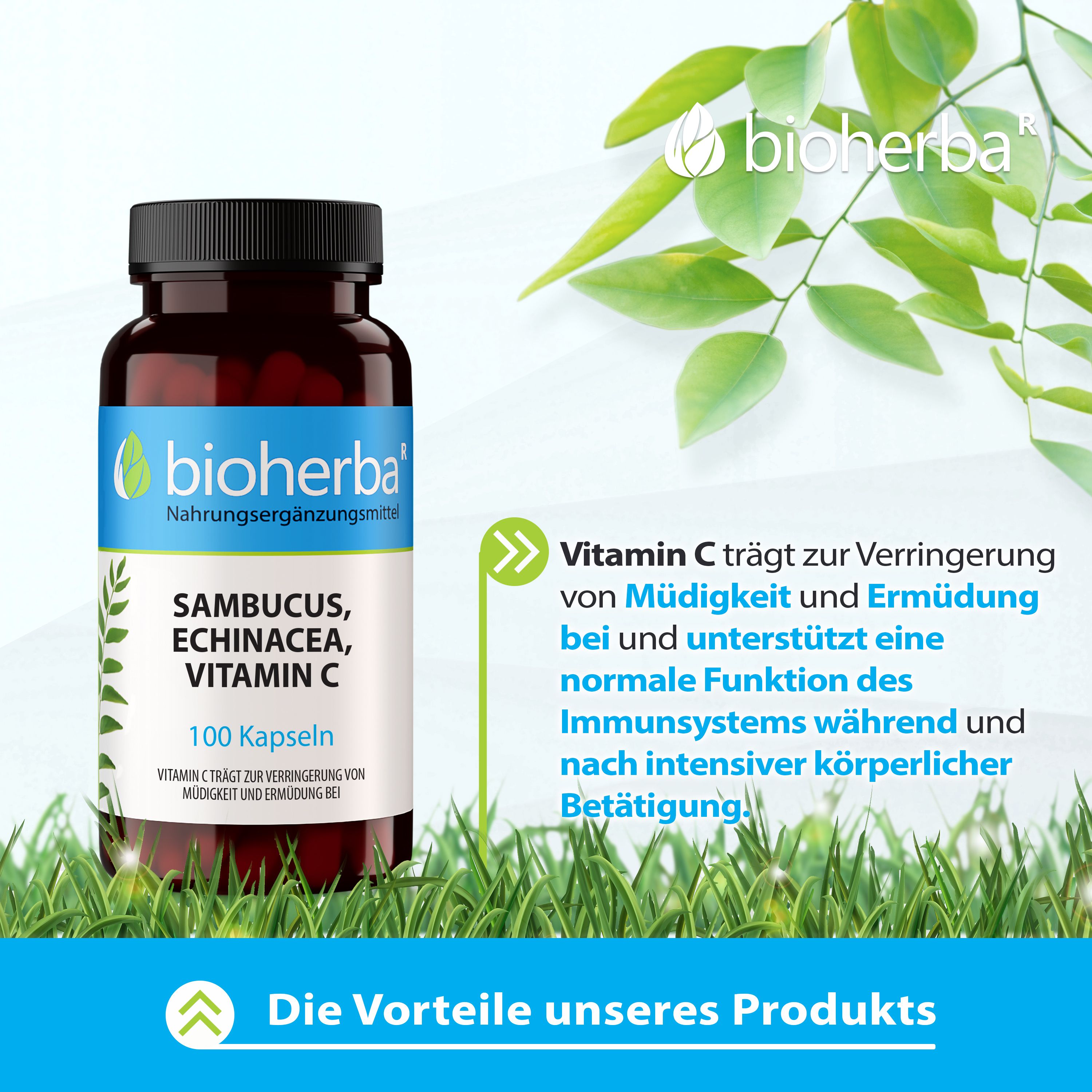 Flasche mit Kapseln, umgeben von grünen Blättern. Text: Bioherba, Sambucus, Echinacea, Vitamin C, 100 Kapseln. Text über Vorteile.