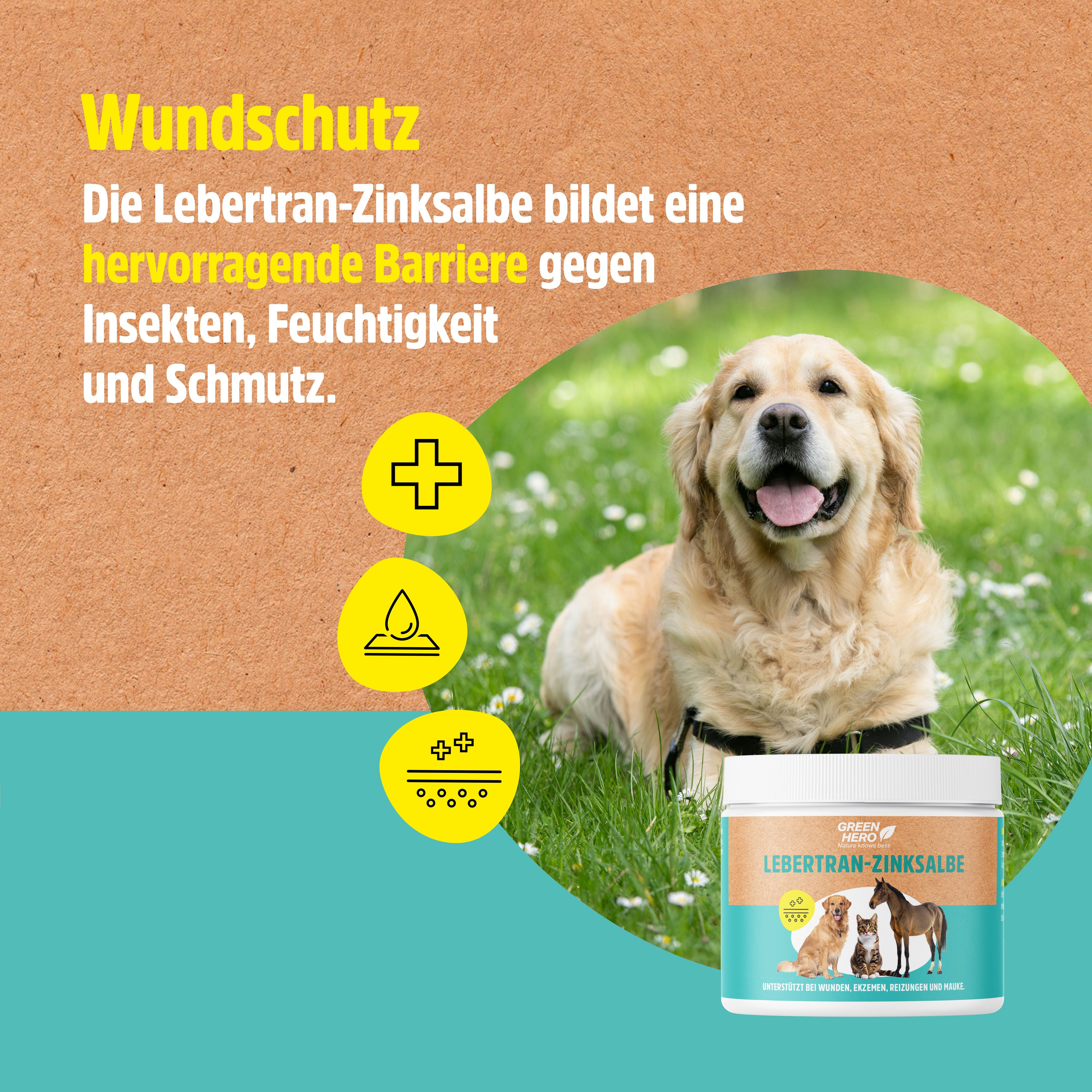 Hund im Gras mit GreenHero Lebertran-Zinksalbe. Text: Wundschutz. Produktabbildung. Illustrationen.