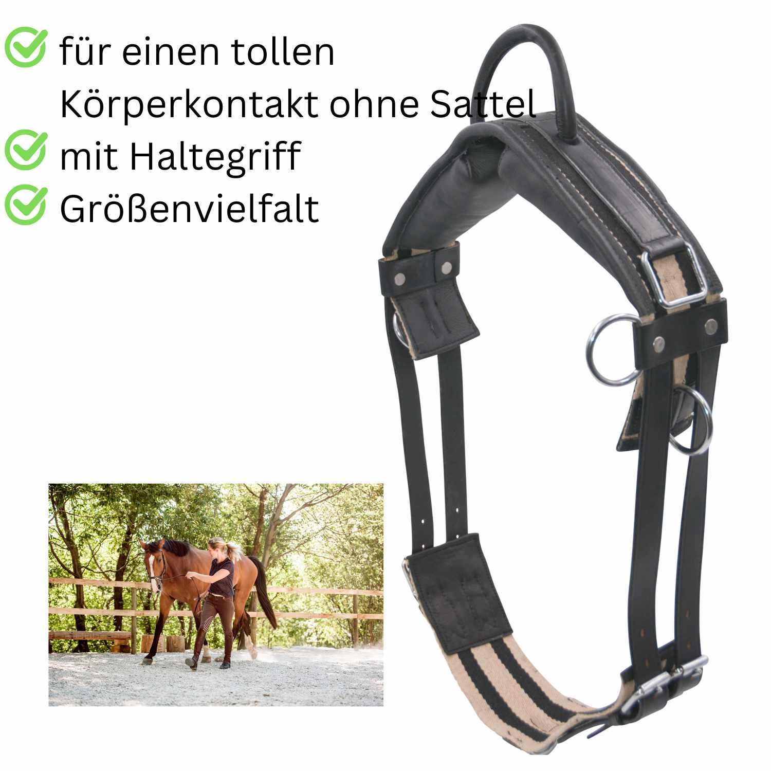 Longiergurt, schwarz-beige, mit Haltegriff. Text: Körperkontakt ohne Sattel, mit Haltegriff, Größenvielfalt.