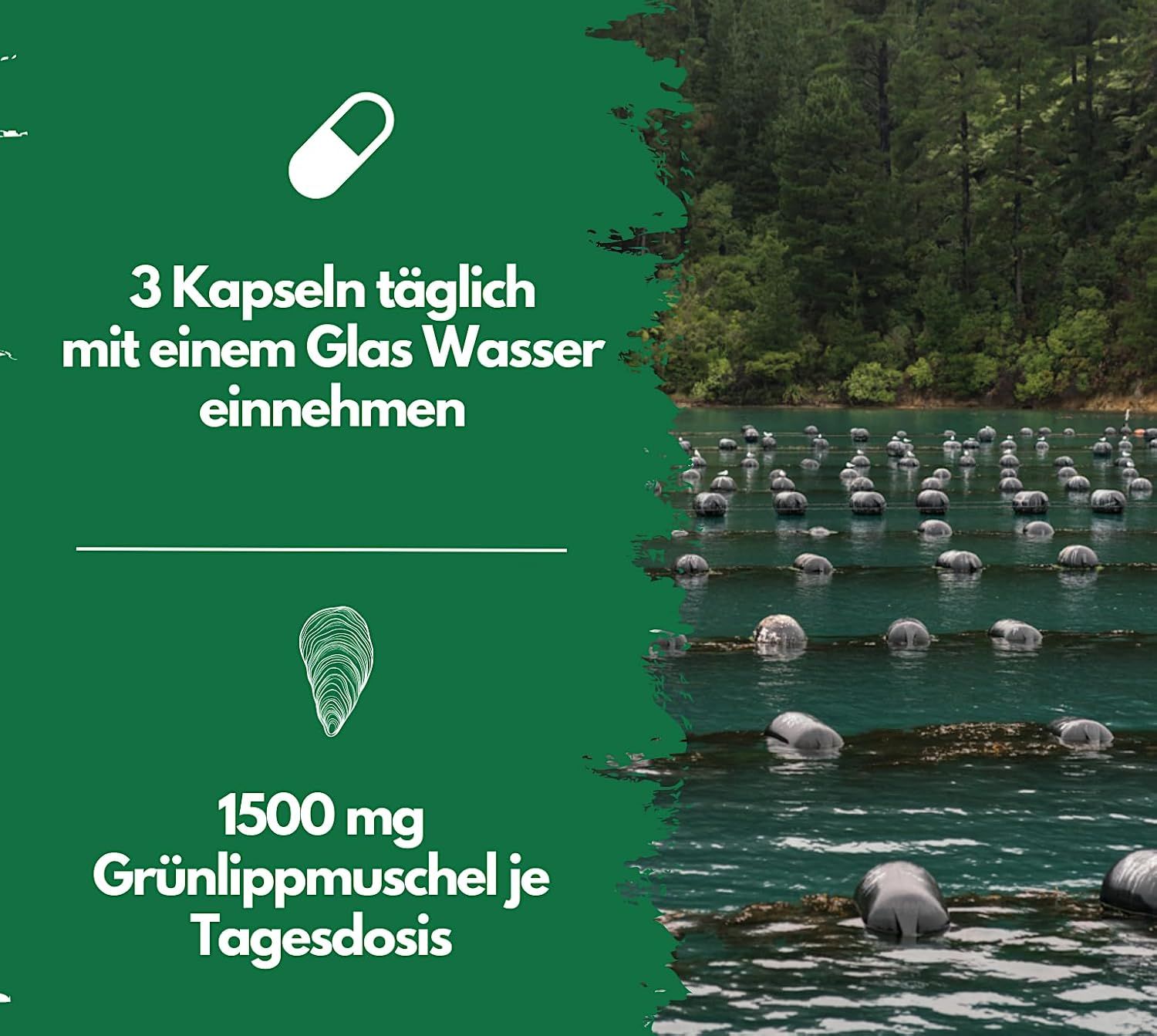 EXVital Grünlippmuschel Kapseln: 300 Kapseln, hergestellt in Deutschland.