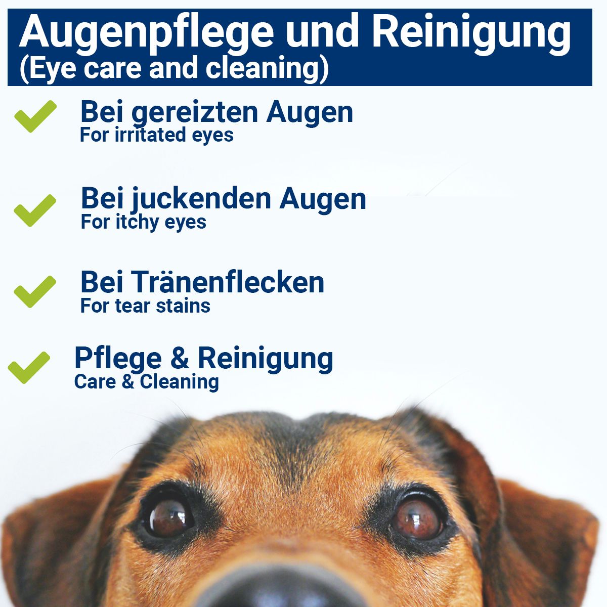 Nahaufnahme eines Hundes mit Augen. Text: Augenpflege und Reinigung, Bei gereizten Augen, Bei juckenden Augen, Bei Tränenflecken.