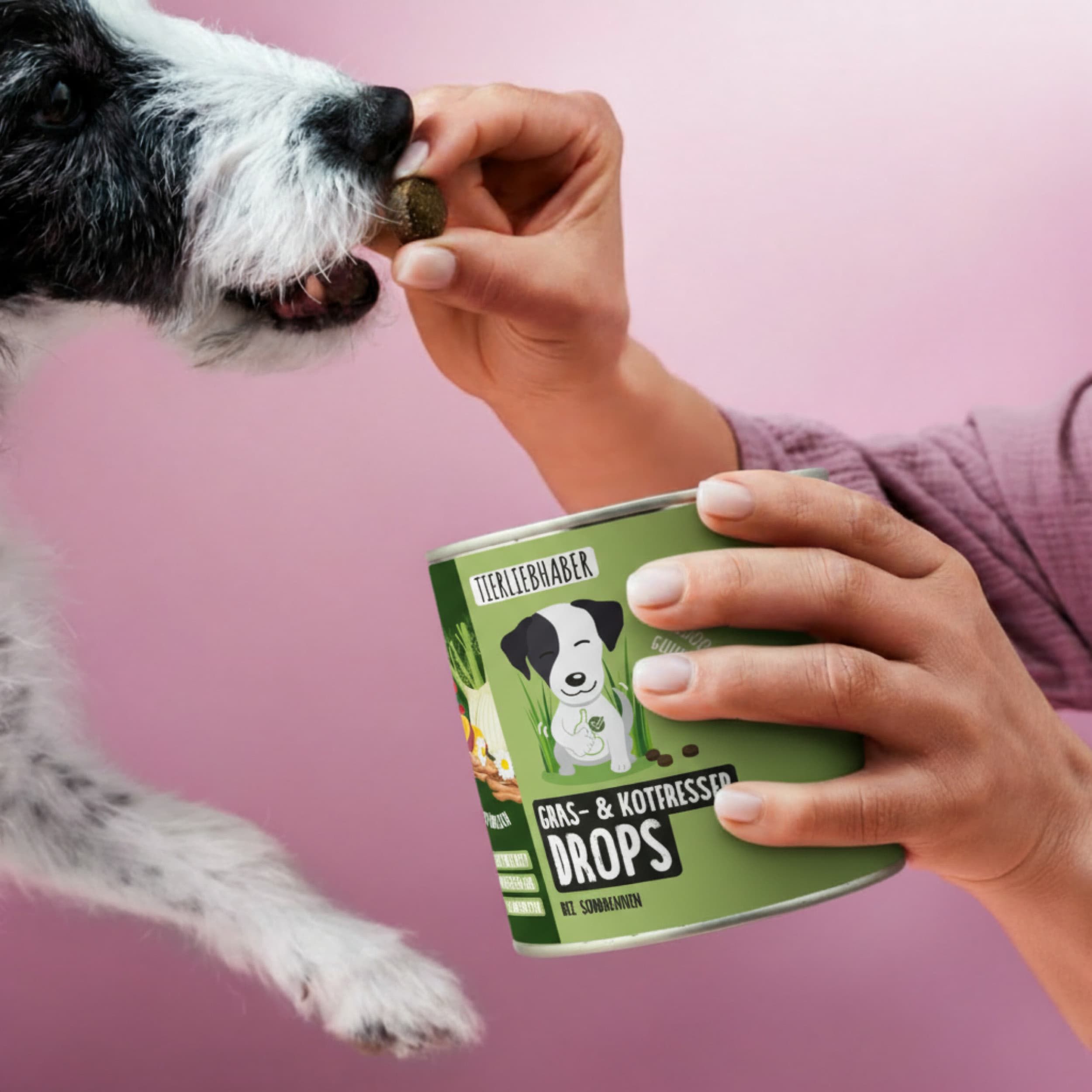Hund frisst Drops aus grüner Dose. Person hält Dose.