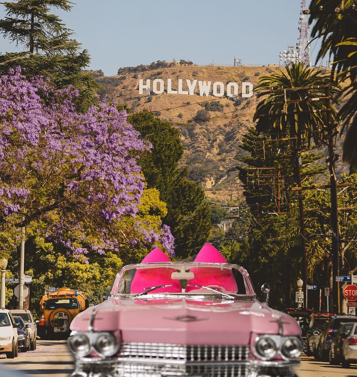 Rosa Oldtimer mit Schleife vor dem Hollywood-Zeichen. Bäume und blühende Sträucher säumen die Straße.
