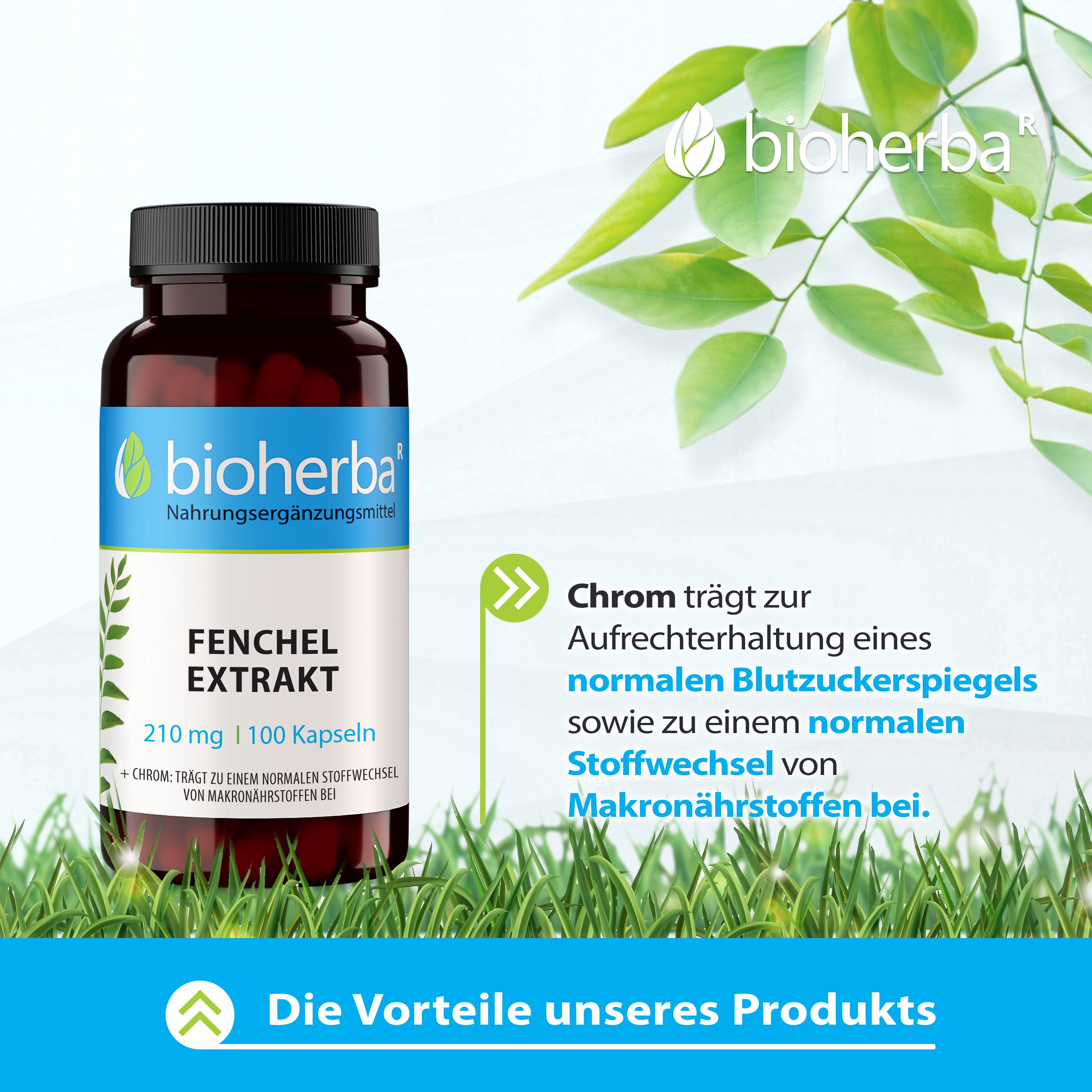 Flasche Bioherba Fenchel Extrakt Kapseln auf Gras. Text: Chrom trägt zur Aufrechterhaltung eines normalen Blutzuckerspiegels.