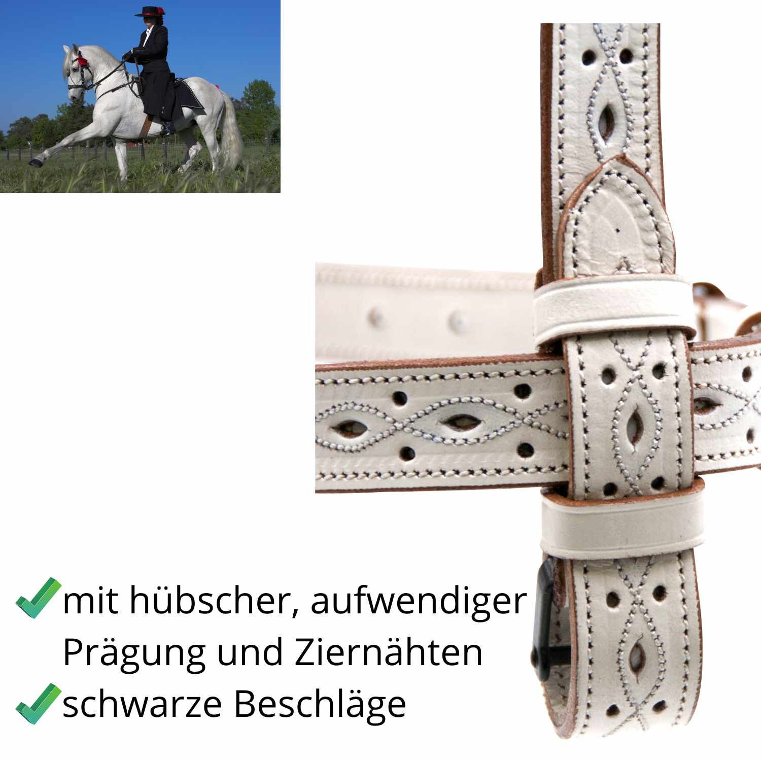 Detailansicht der Trense mit Prägung und Ziernähten. Schwarze Beschläge. Inklusive Abbildung eines Pferdes mit Reiter.