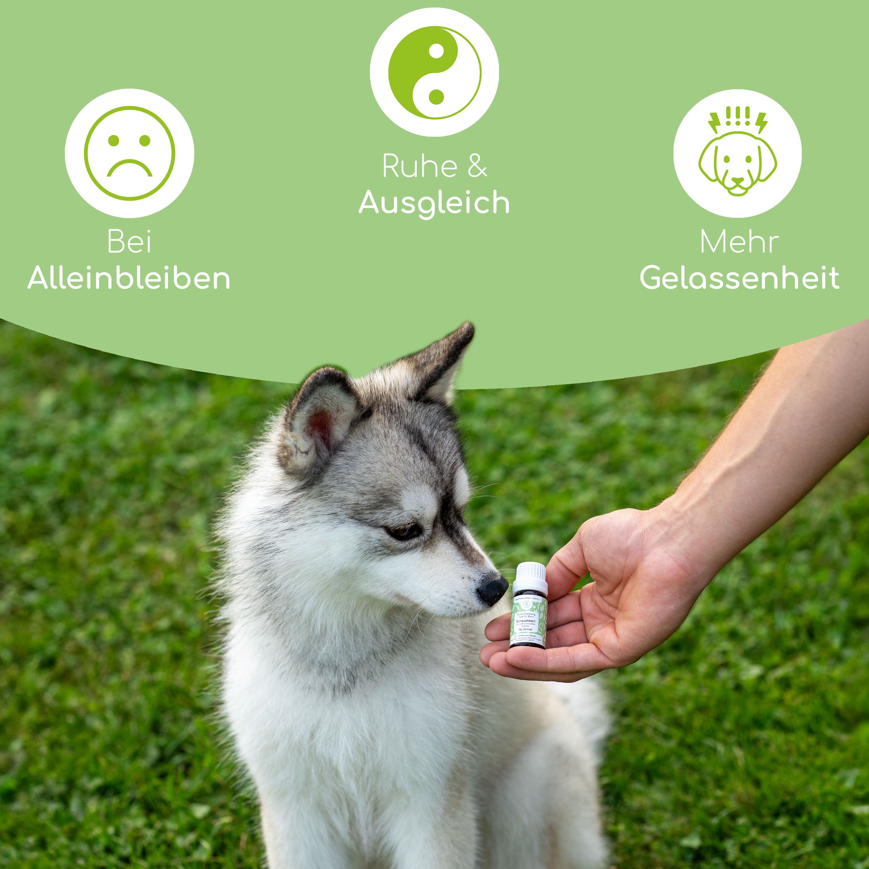 Person hält eine kleine Flasche vor einen Hund. Auf der Flasche steht: Wolfsbacher Natur. Der Hund scheint an der Flasche zu schnuppern.