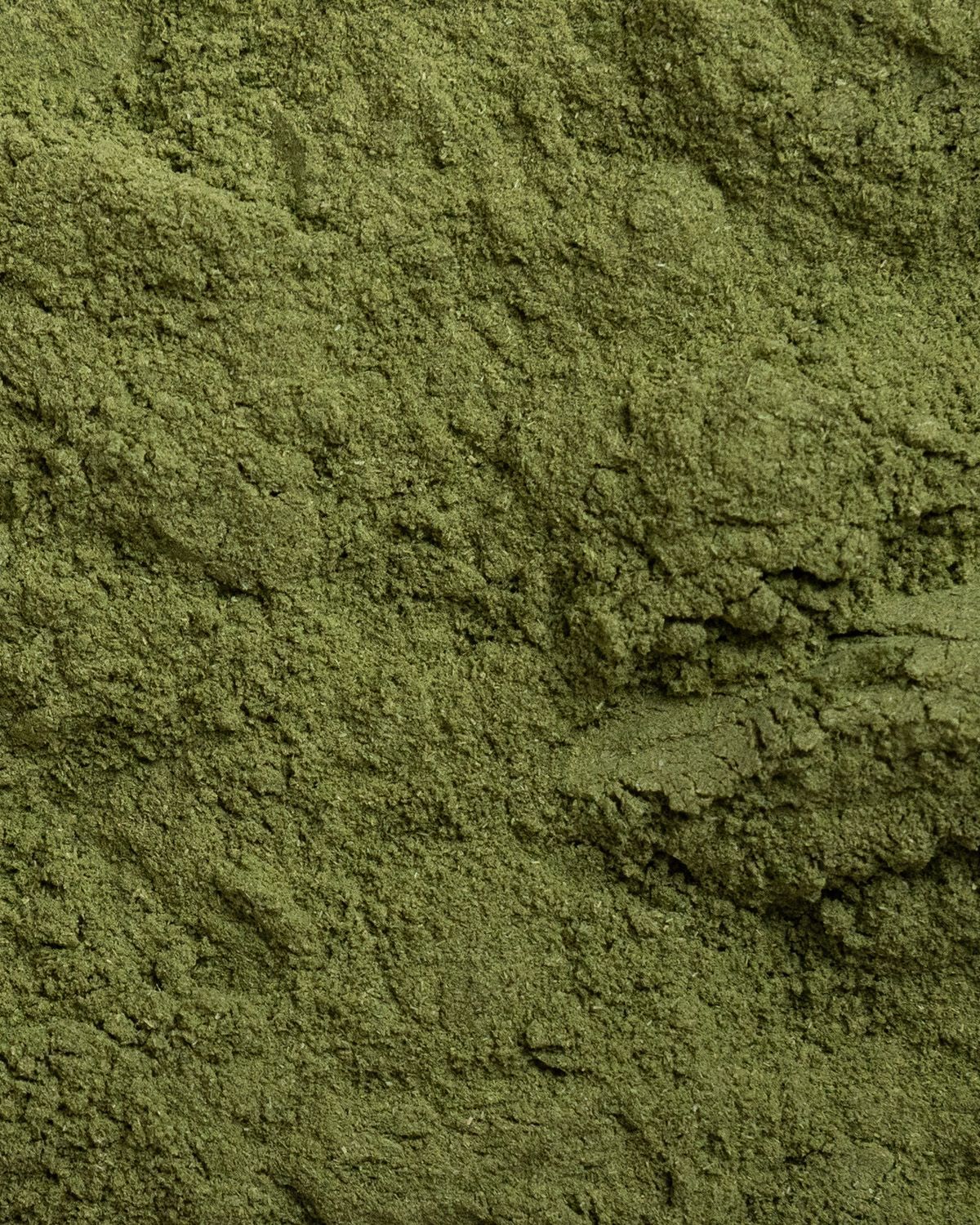 Nahaufnahme von grünem Weizengraspulver. Die Textur ist fein und pulverförmig.