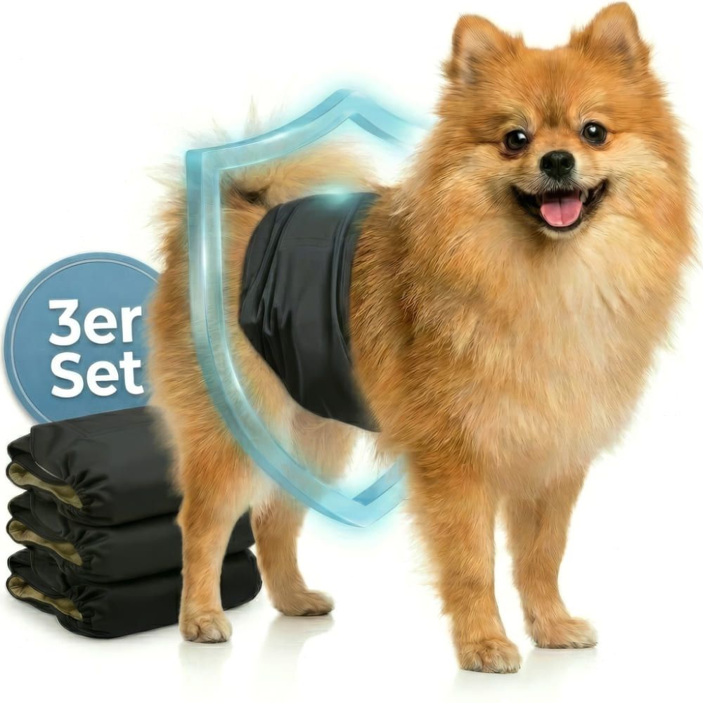 Hund mit schwarzer Bauchbinde. 3er Set Windeln. Schild-Symbol.