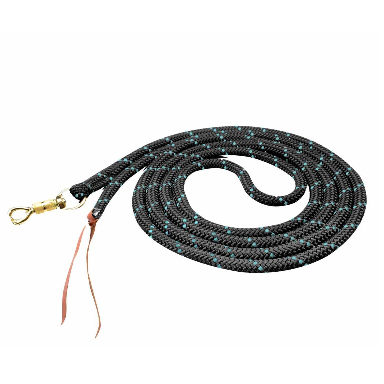 Schwarze Bodenleine mit goldfarbenem Karabinerhaken und Lederriemen. Blau-grüne Akzente im Seil.