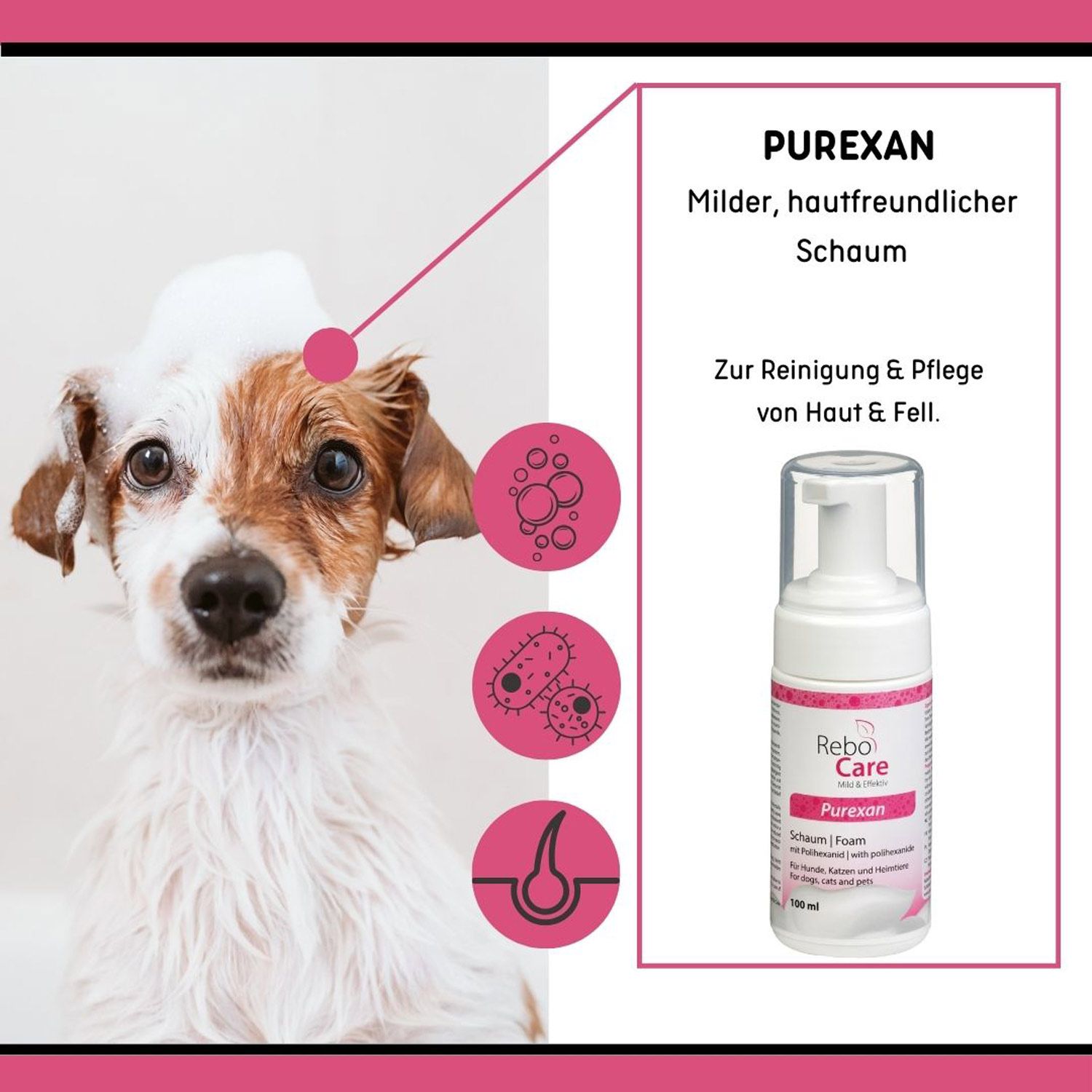 Purexan Haut- und Fellpflege-Schaum
