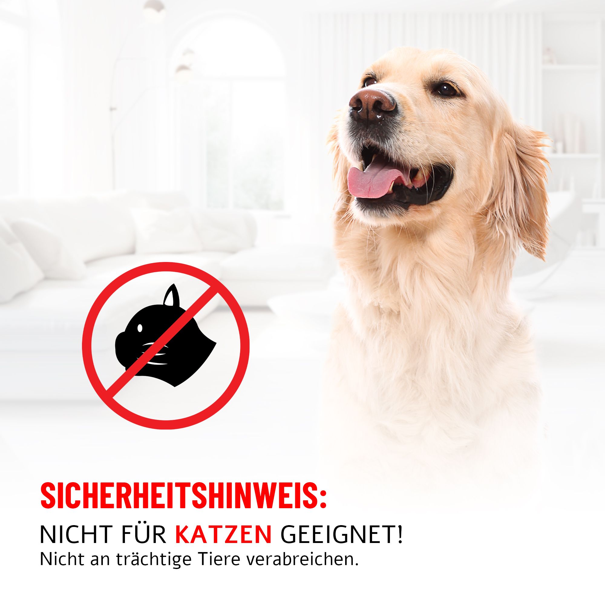 Golden Retriever mit Warnsymbol: Nicht für Katzen geeignet. Zeckilix.