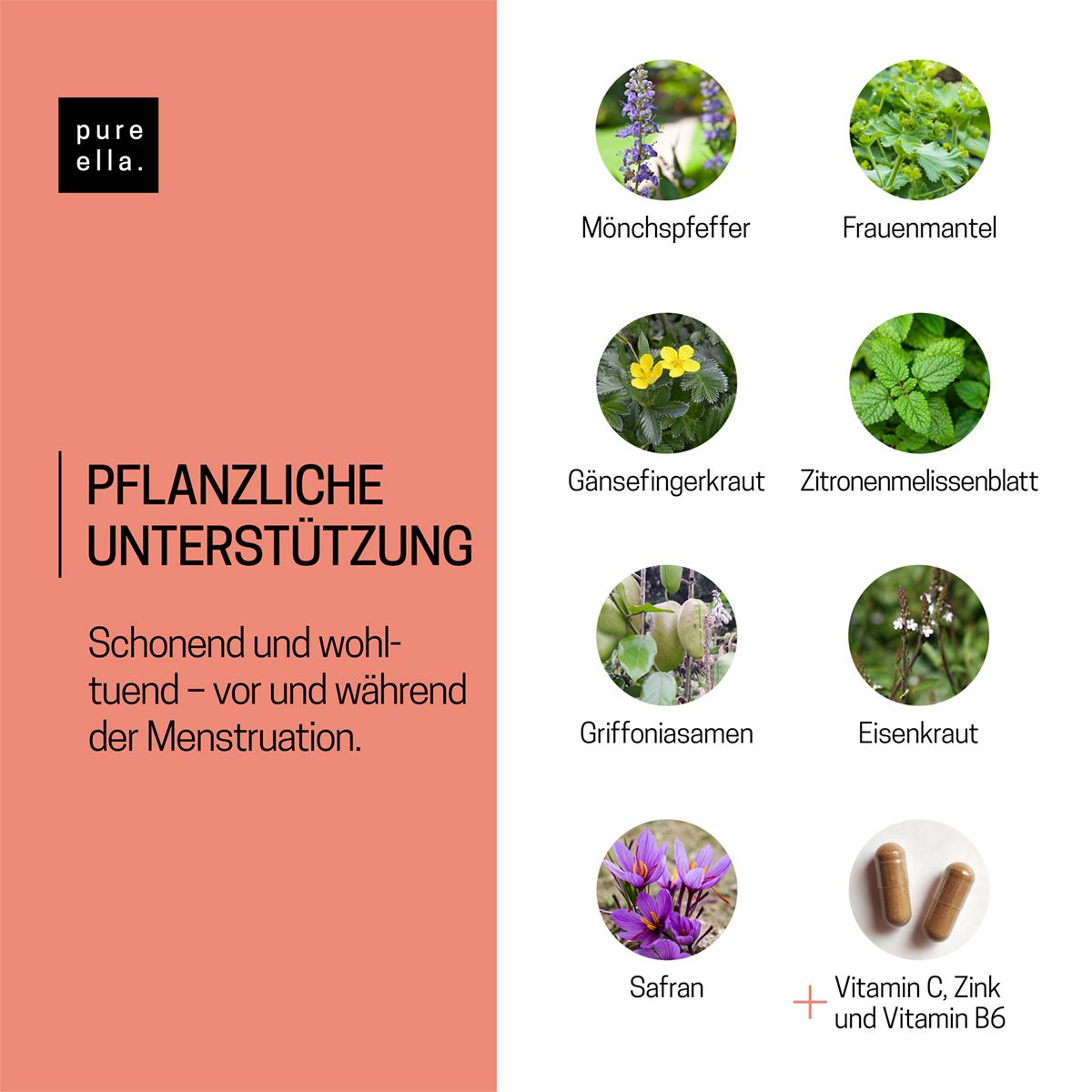 Infografik mit Pflanzen und Kapseln. Text: Pflanzliche Unterstützung. Inhaltsstoffe: Mönchspfeffer, Safran, etc.