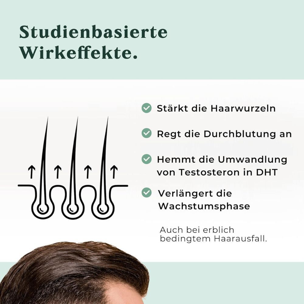 Grafik mit Haarfollikeln und Pfeilen. Text: Stärkt die Haarwurzeln. Regt die Durchblutung an. Hemmt die Umwandlung von Testosteron in DHT.