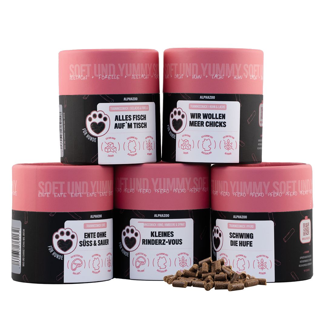 Fünf runde Dosen mit Hundeleckerlis in verschiedenen Sorten, rosa und schwarzes Design.