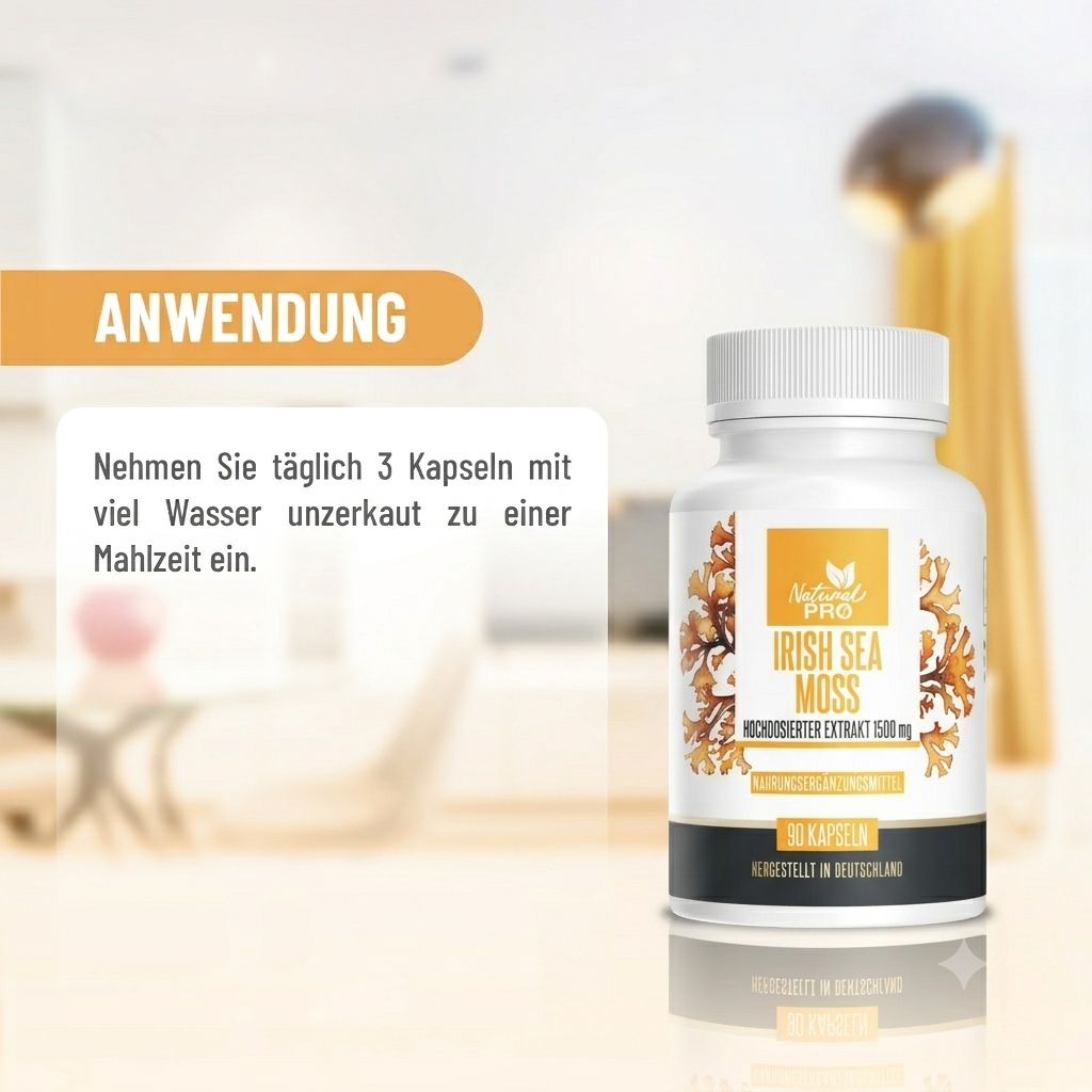 Flasche Irish Sea Moss Kapseln 1500mg neben einem stilisierten Wohnbereich. Anwendungshinweis.