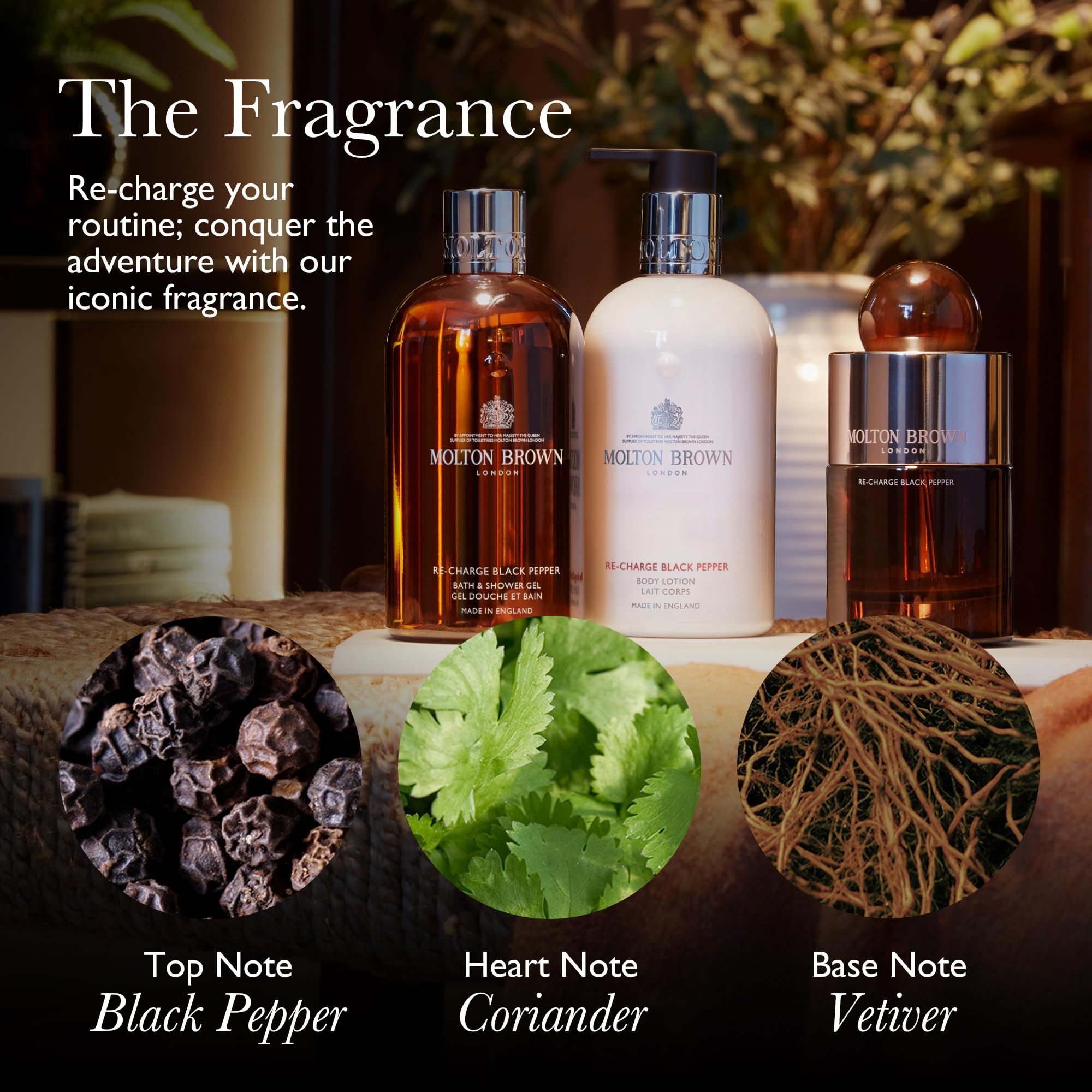 Drei Molton Brown Produkte, Pfefferkörner, Koriander und Vetiver. Text: The Fragrance.