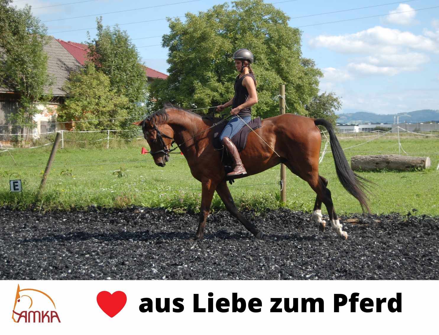 Reiterin auf braunem Pferd. Text: AMKA, Herz, aus Liebe zum Pferd.