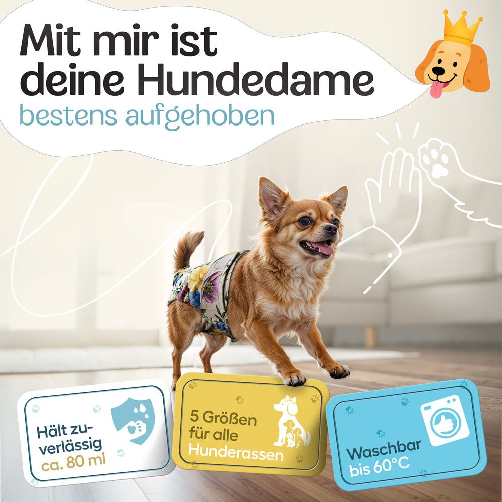 Hündin mit Windel. Text: Hält zuverlässig ca. 80 ml. 5 Größen für alle Hunderassen. Waschbar bis 60°C.
