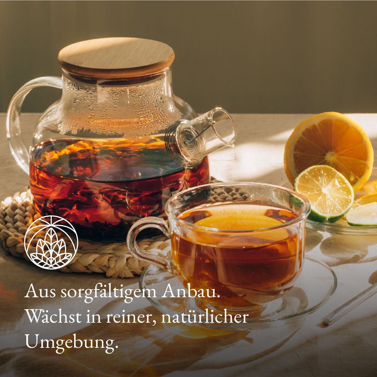 Monte Nativo Bitterkräuter Tee stark lose