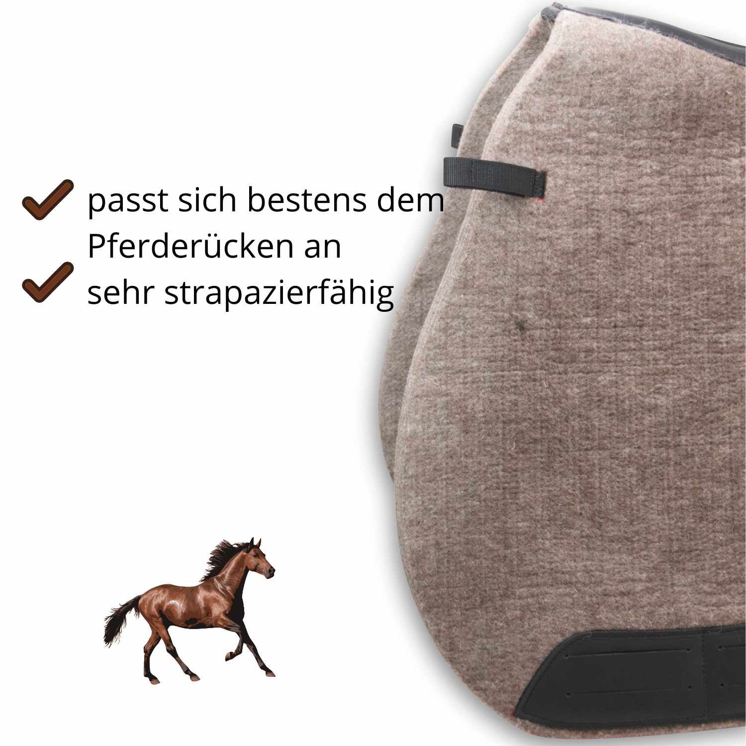 Ausschnitt einer Filzschabracke mit Text: passt sich bestens dem Pferderücken an, sehr strapazierfähig. Pferd-Illustration.