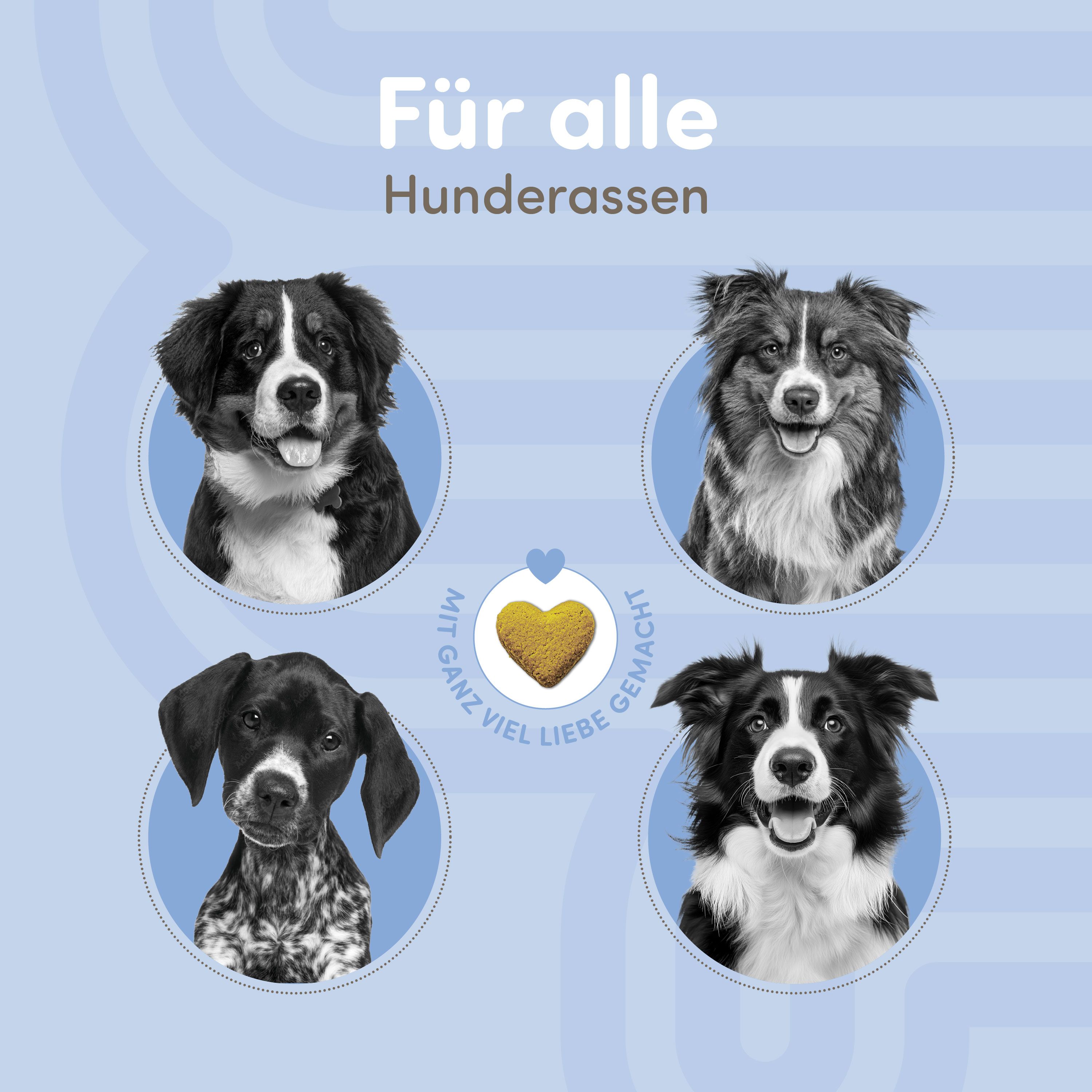Vier Hundeporträts in Kreisen. Text: Für alle Hunderassen. Herzförmiger Snack. Text: Mit ganz viel Liebe gemacht.